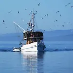 Luka Διαμέρισμα